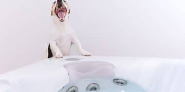 Revolutionize Pet Care: Smart Feeders and Fountains for Happy Pets - Cover Image