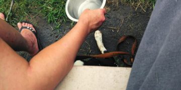 DIY Smart Leak Detection: Protect Your Home for $30 - Cover Image
