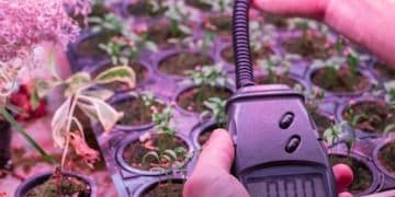 DIY Smart Plant Watering: Automate with a $40 System - Cover Image