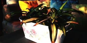 Smart Home Gardening: Automate Watering and Grow Healthier Plants - Cover Image