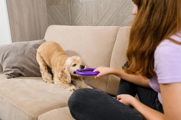A small dog playing with an interactive smart toy that dispenses treats. The dog is focused and engaged, chasing the toy around the living room. The setting is a cozy living room with plush furniture and natural light.