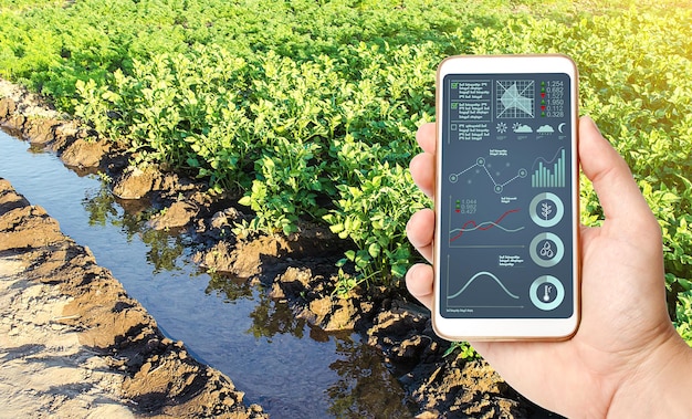 A person using a smartphone app to control their smart irrigation system. The app displays real-time data about soil moisture levels and watering schedules.